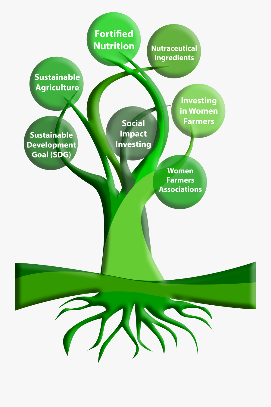 Roots Clipart Tree Diagram - Tree Diagram Of Agriculture, Transparent Clipart