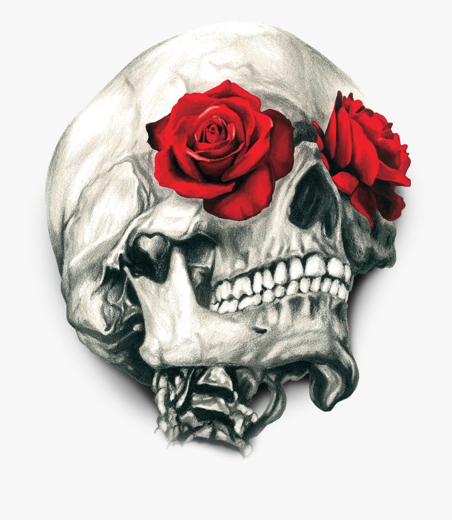 Skull Calavera T-shirt Human Rose Symbolism Clipart - Skull And Roses Png, Transparent Clipart