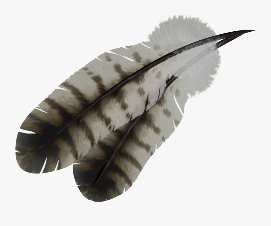 Feathers Clipart Feather Indian, Transparent Clipart