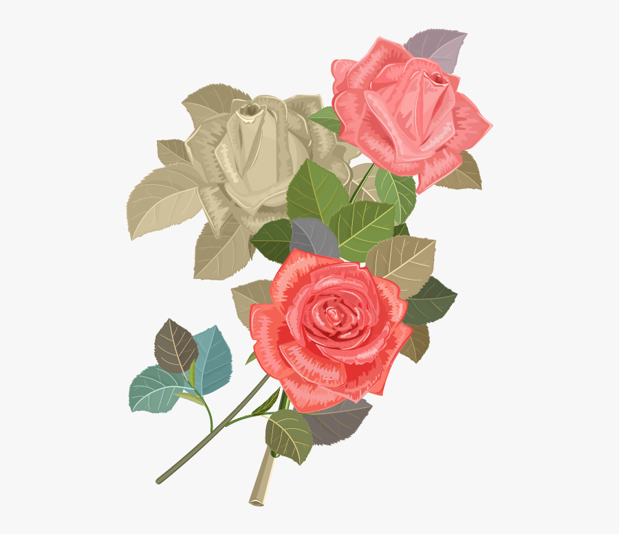 Wedding Invitation Beach Rose Flower Euclidean Vector - Invitation Cards Rose Flower, Transparent Clipart