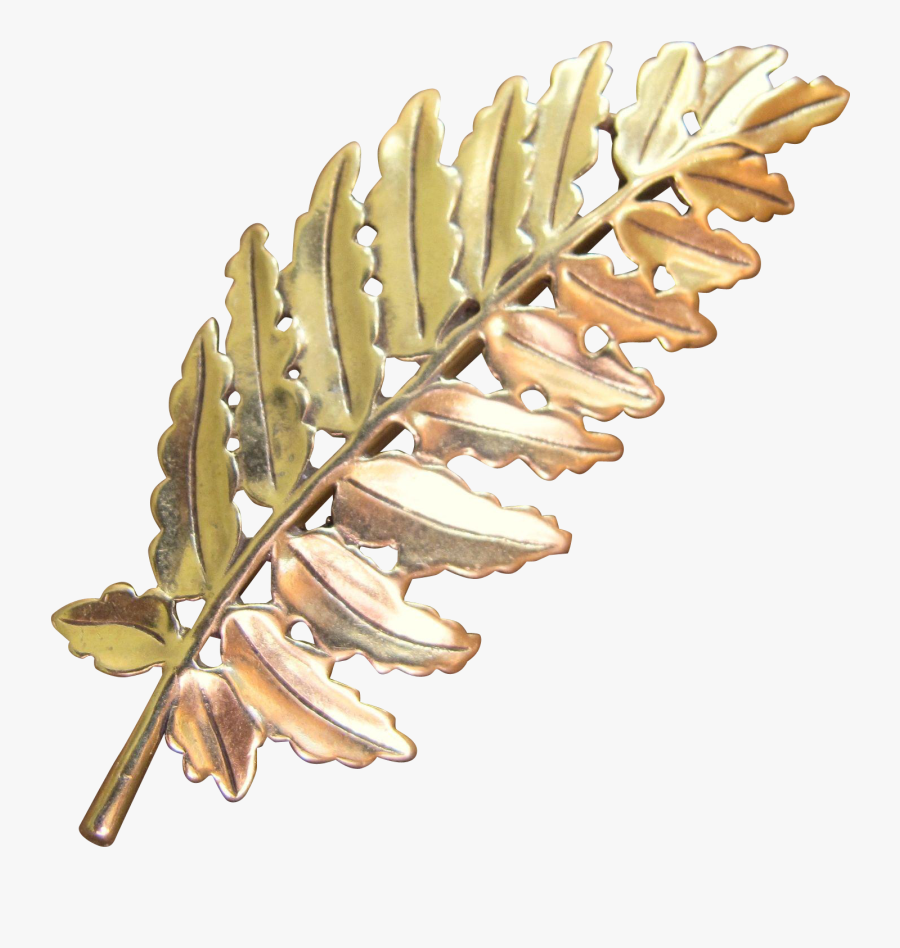 Metropolitan Museum Of Art Fern Leaf Brooch - Pond Pine, Transparent Clipart