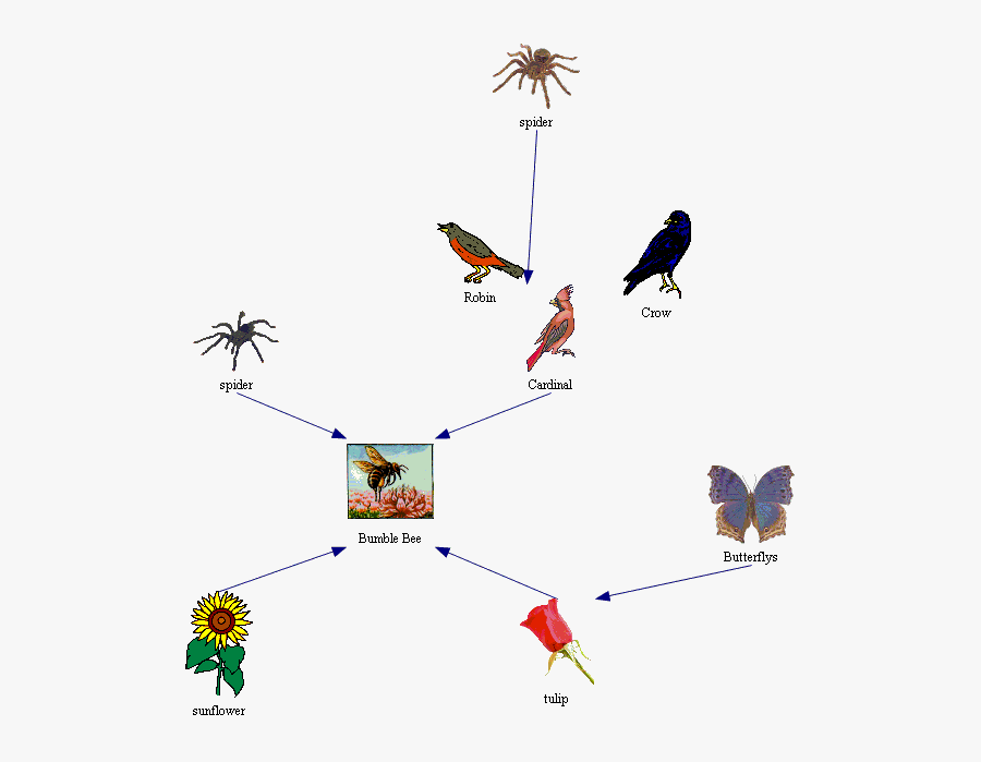 Honey Bee Food Chain - Food Chain With Bees , Free Transparent Clipart