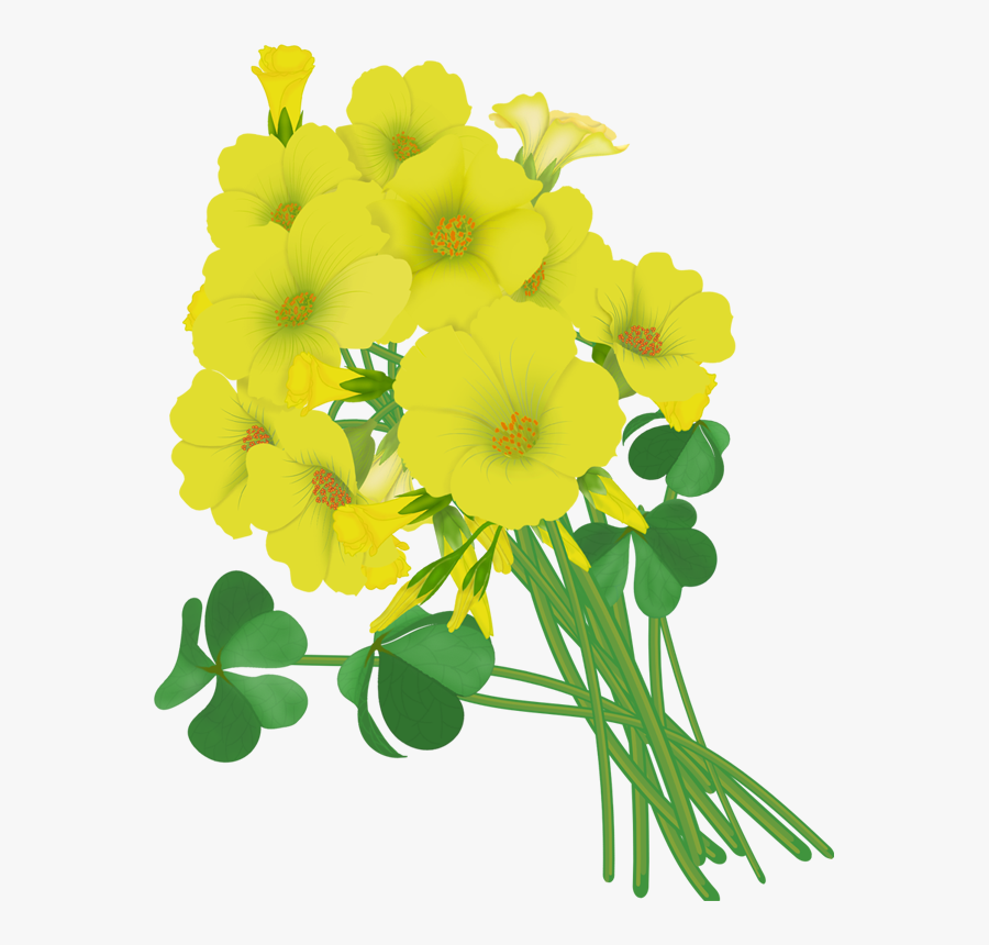 Wildflower Vector Simple - Wallflower, Transparent Clipart