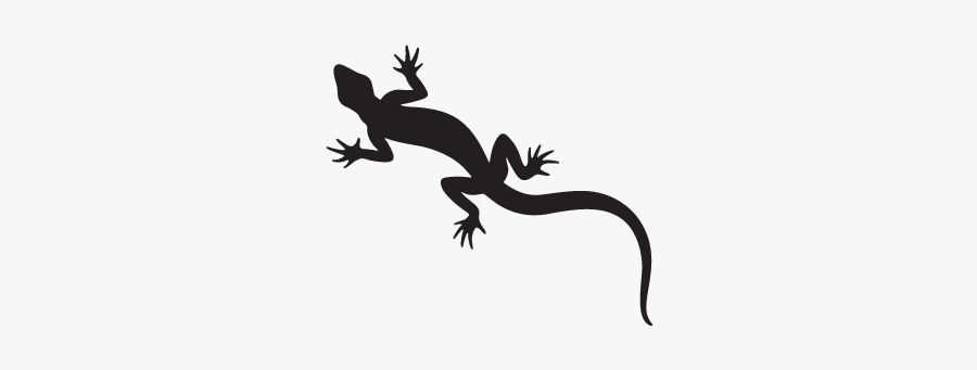 Gecko Lizard New Zealand Fantail Silhouette - Lagartija Silueta Png, Transparent Clipart
