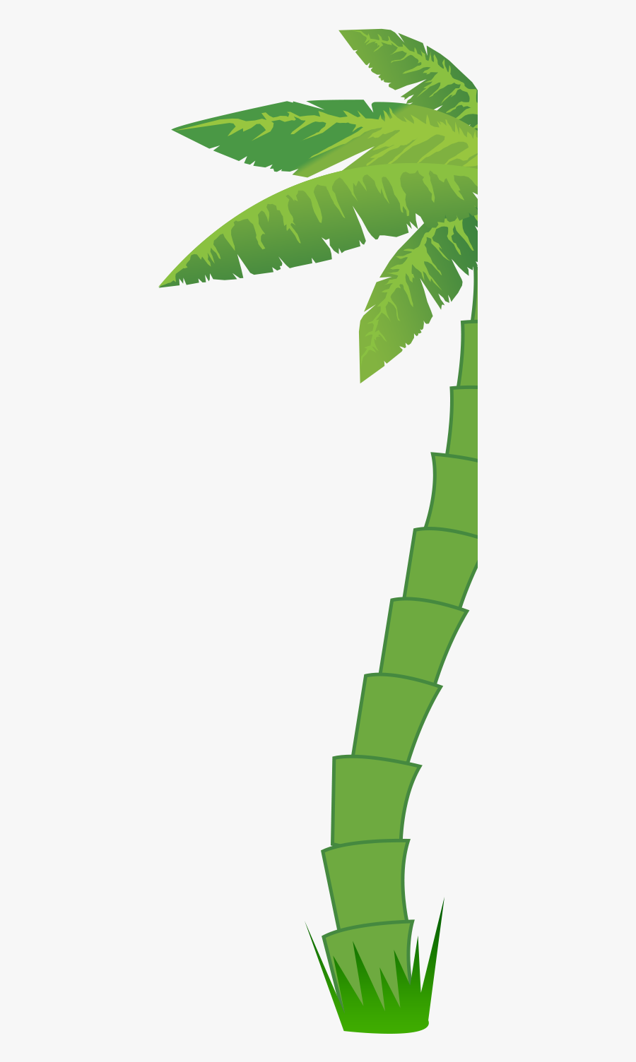 Tree, Transparent Clipart