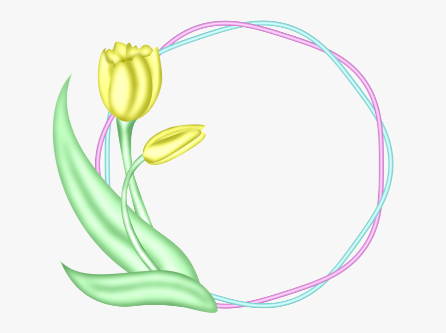 Tubes Printemps / Pâques - Tulip, Transparent Clipart