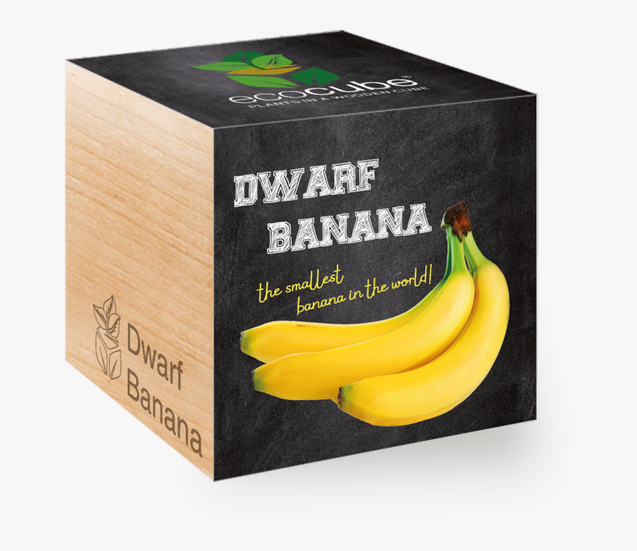 Saba Banana, Transparent Clipart