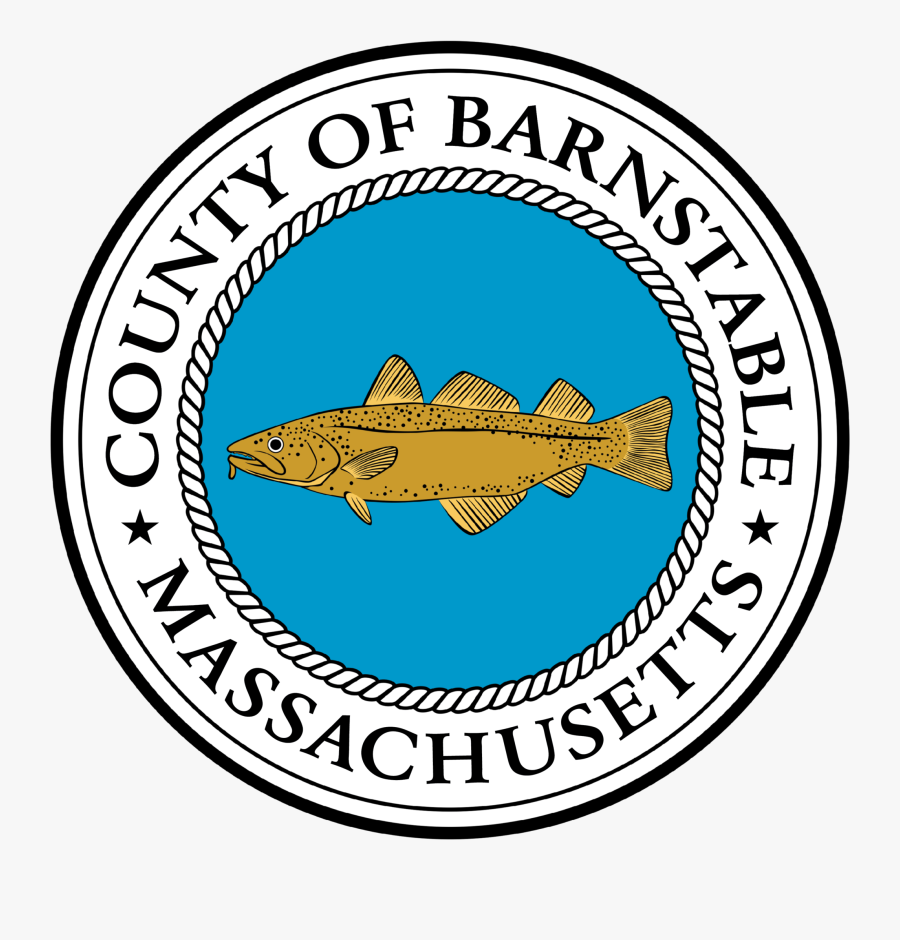 Learn More About Bcdhe Programs Here - Barnstable County, Massachusetts, Transparent Clipart