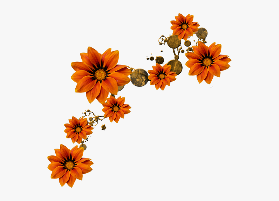 Floral Orange Border Png , Free Transparent Clipart - ClipartKey