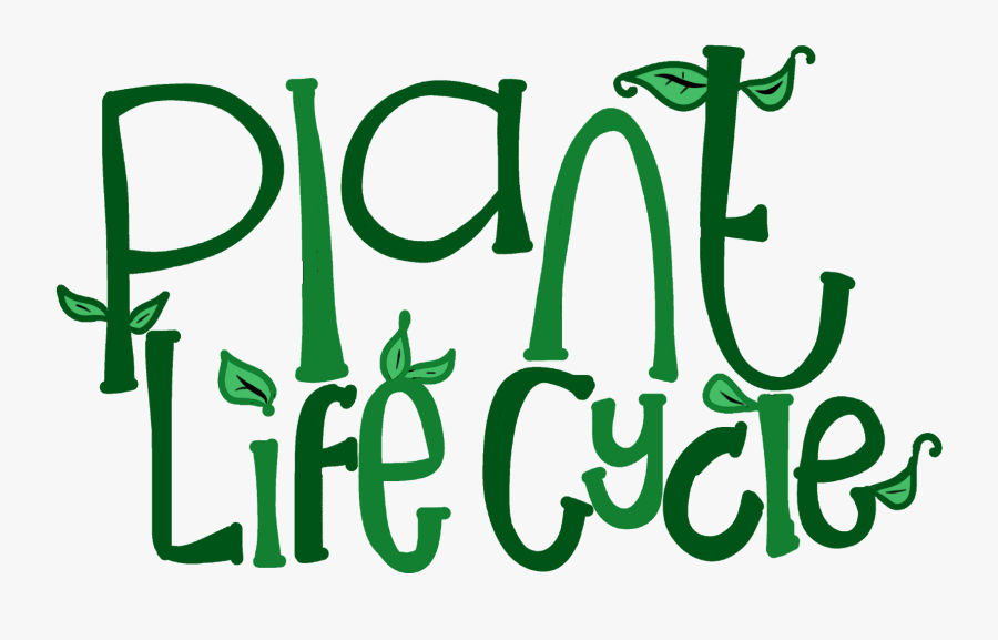 Http - //www - Teacherspayteachers - Com/product/plant - Life Cycle Of A Plant Sign, Transparent Clipart