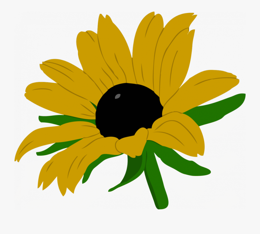 Black-eyed Susan , Free Transparent Clipart - ClipartKey