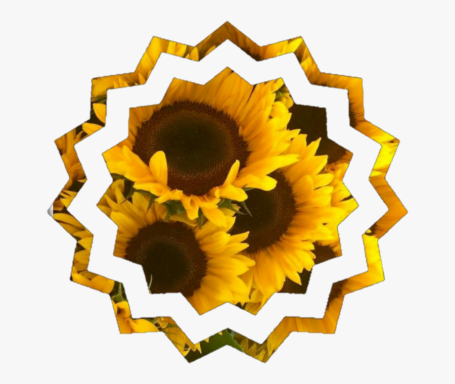 Icons - Iphone Sunflowers, Transparent Clipart