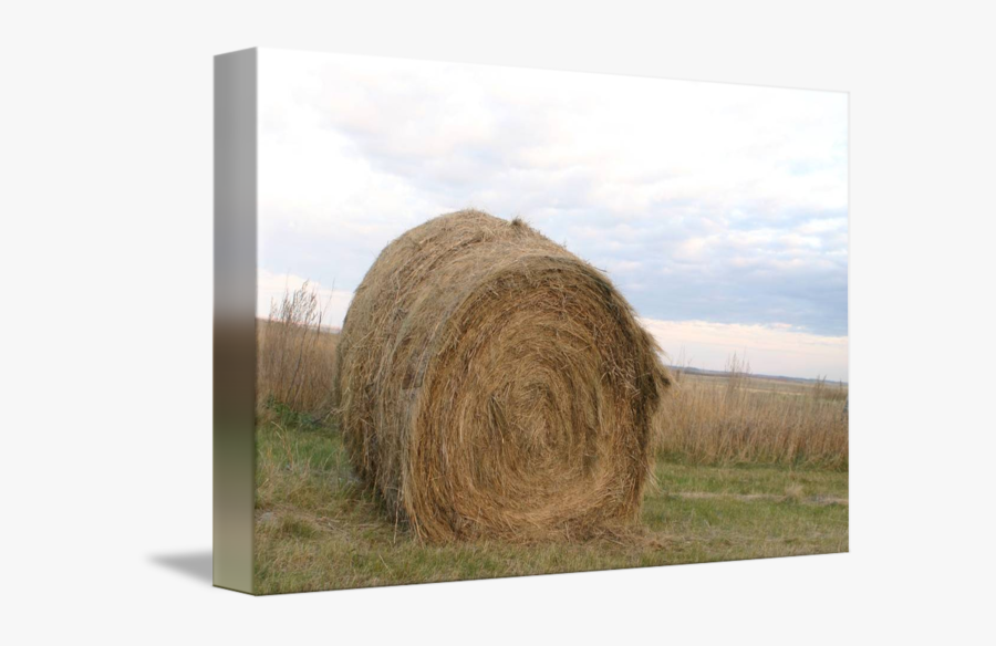 Straw Transparent Haystack - Hay, Transparent Clipart