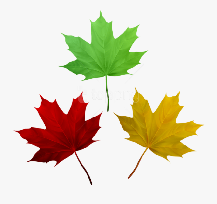 Free Png Download Fall Leaves Set Clipart Png Photo - Fall Leaves Transparent, Transparent Clipart