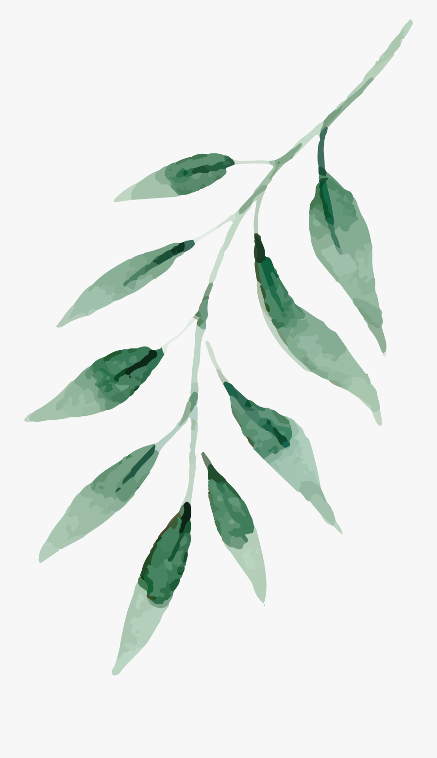 Watercolor Painting Drawing Leaf - Watercolor Green Leaves Png, Transparent Clipart