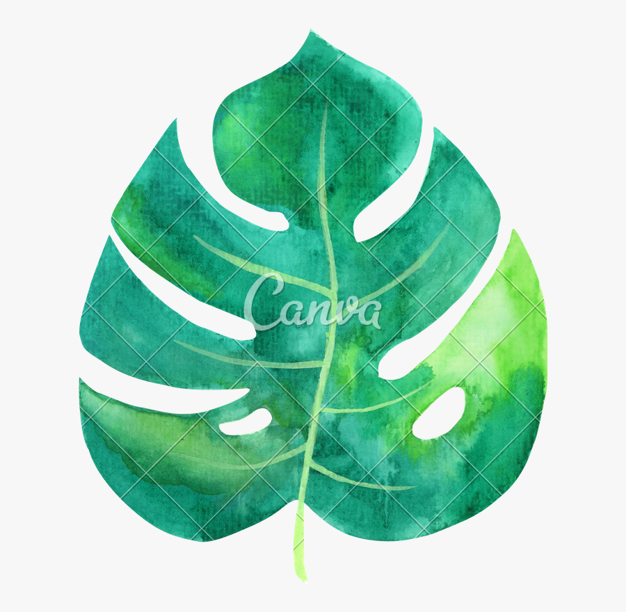 Transparent Watercolor Tropical Leaf, Transparent Clipart