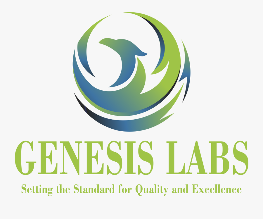 Clip Art Genesis Labs - Eagle, Transparent Clipart