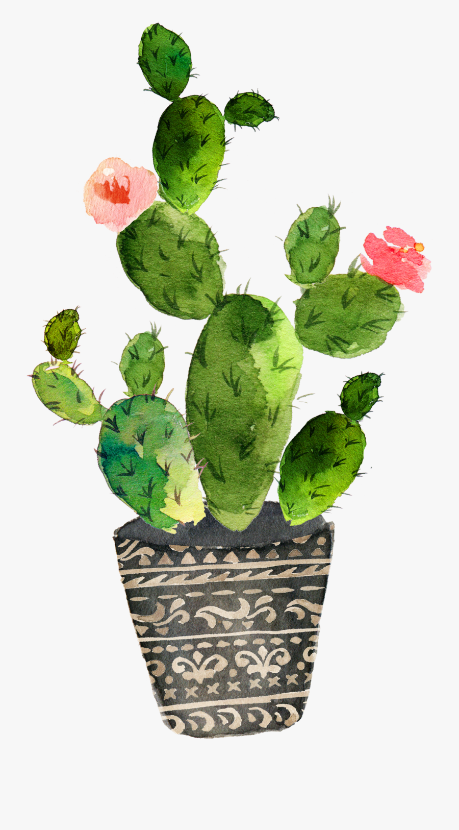 Watercolor Cactus Png - Watercolor Kaktus, Transparent Clipart