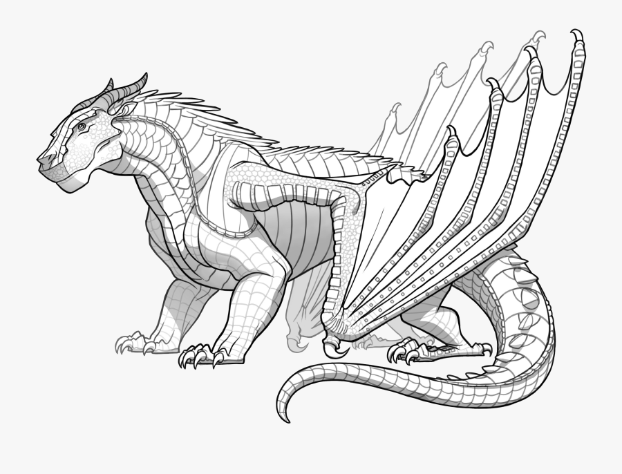 Zero Drawing Dragon - Wings Of Fire Mudwing Base, Transparent Clipart