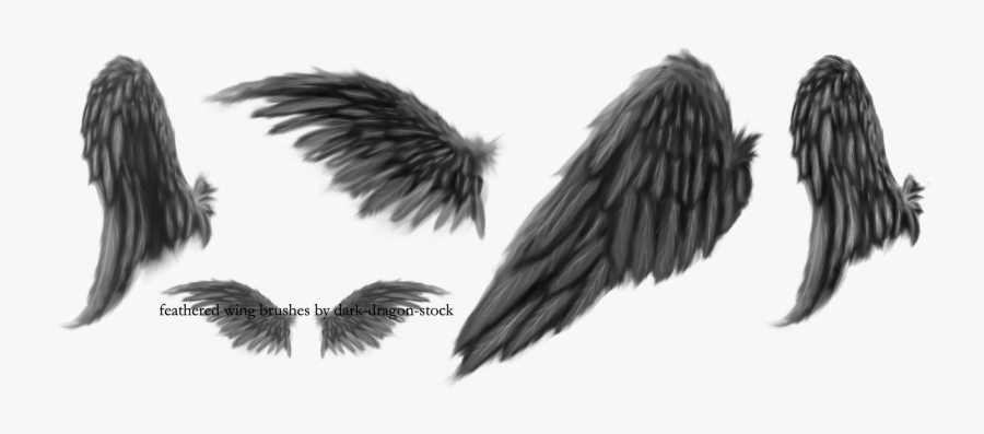 Broken Wings Brushes By Dark Dragon Stock On Clipart - Black Angel Wings Drawing, Transparent Clipart