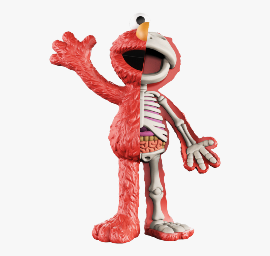 Xxray Plus - Elmo Jason Freeny, Transparent Clipart