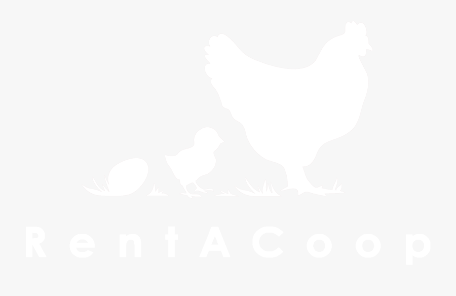 Hen Clipart Chicken Eating Corn - Yes I Do Have A Retirement Plan I Plan On Rais, Transparent Clipart
