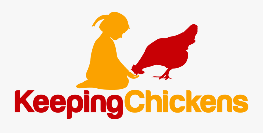 Raising And Keeping Chickens - Chicken, Transparent Clipart