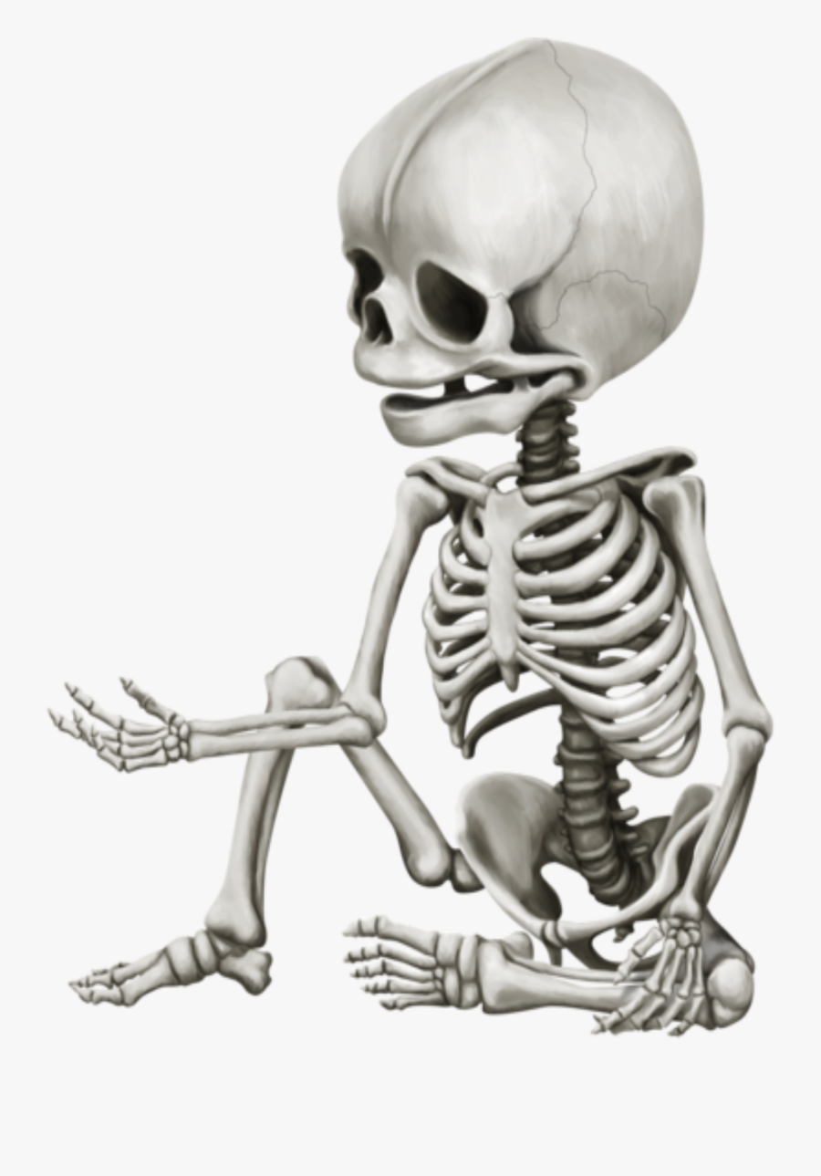 Infant Skeleton, Transparent Clipart