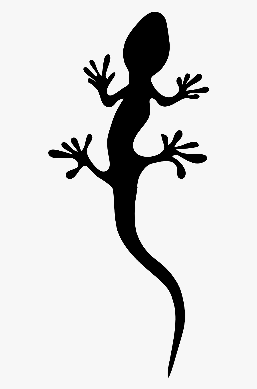 Gecko Drawing Png , Free Transparent Clipart - ClipartKey