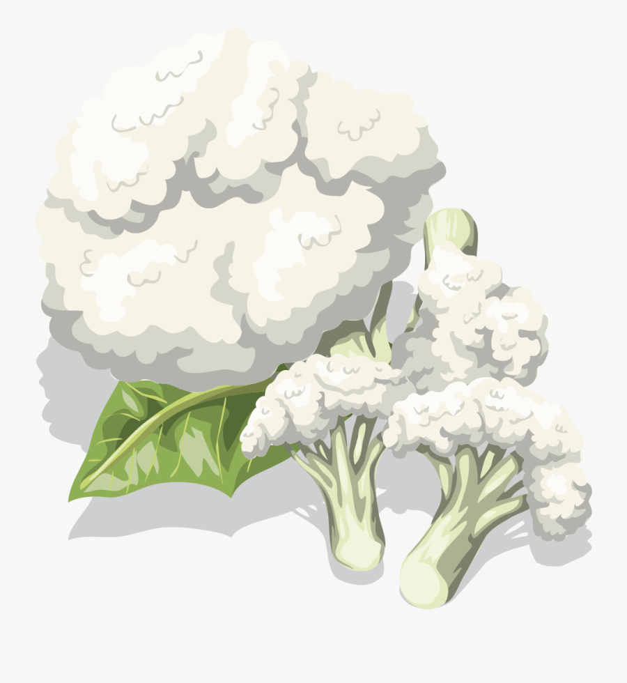 Cauliflower, Transparent Clipart
