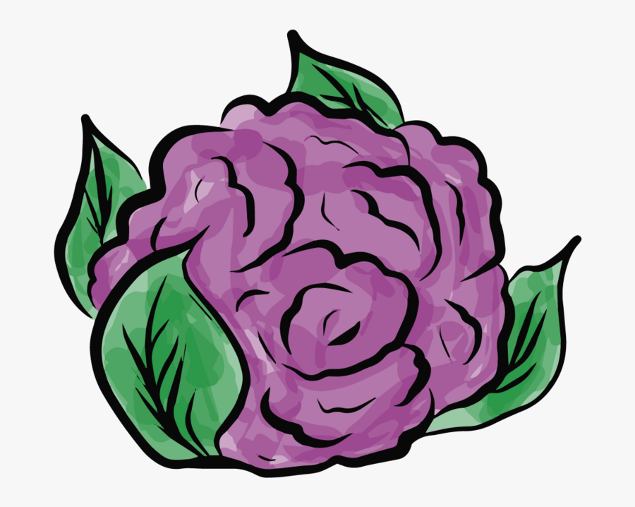 Purple Cabbage Cartoon Png , Free Transparent Clipart - ClipartKey