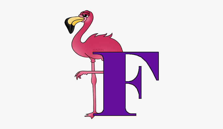 Letter F - Flightless Bird, Transparent Clipart