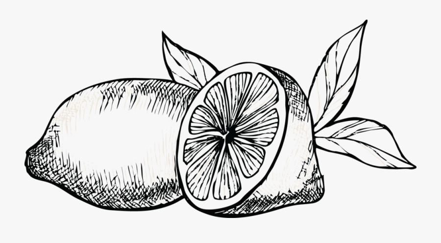 Lemon - Line Art, Transparent Clipart