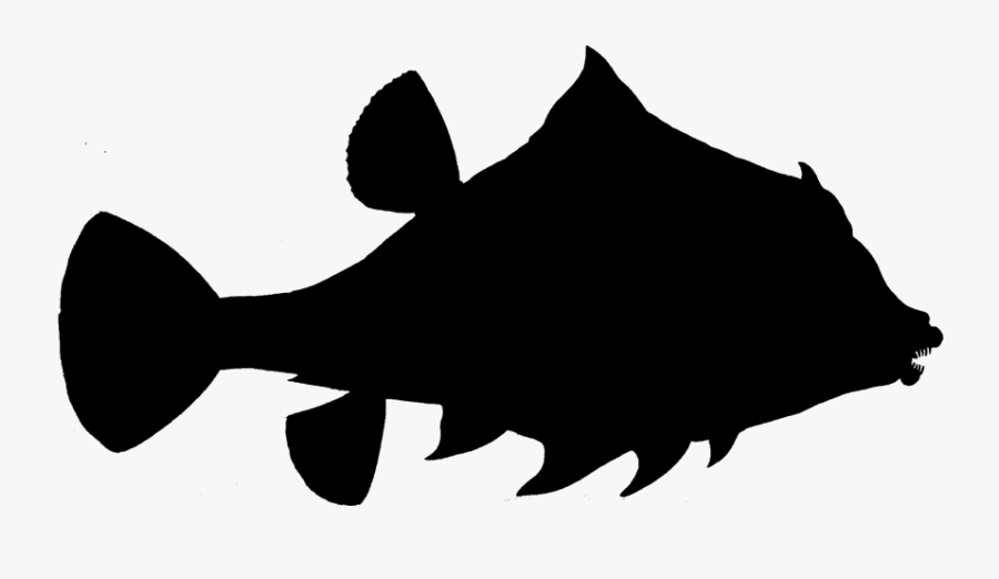 Fish Clip Art Fauna Silhouette Snout, Transparent Clipart