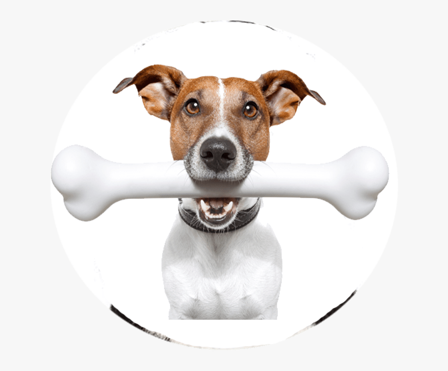 Transparent Dog Barking Clipart - Bone For A Dog, Transparent Clipart