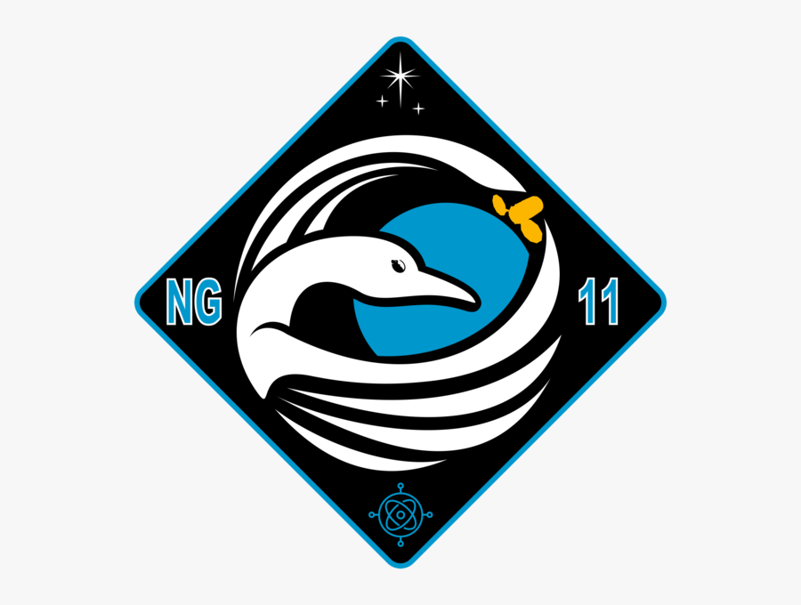 Ng-11 Patch - Cygnus Ng 11, Transparent Clipart