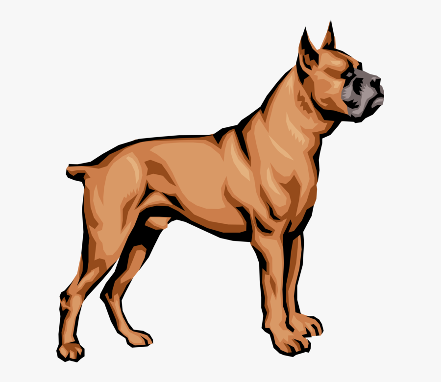 Vector Illustration Of Family Pet Brindle Boxer Dog - Boxer Dog Cool Art Transparent, Transparent Clipart