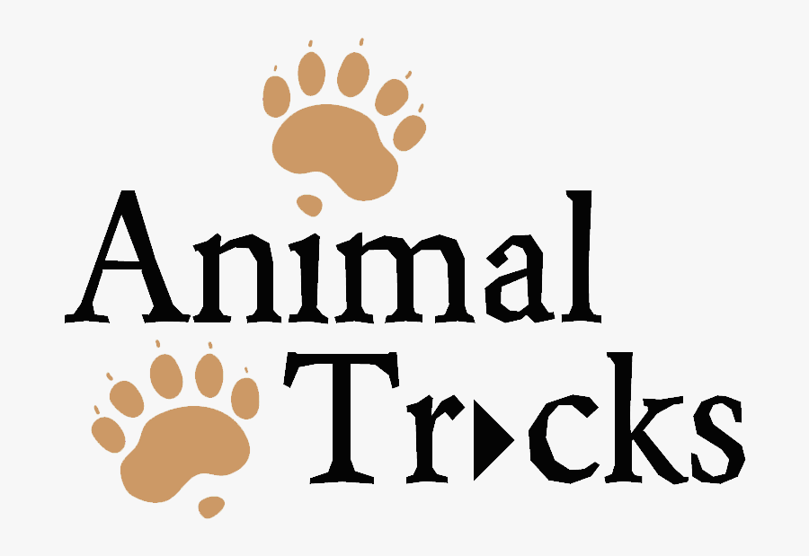 Animal Tracks, Transparent Clipart