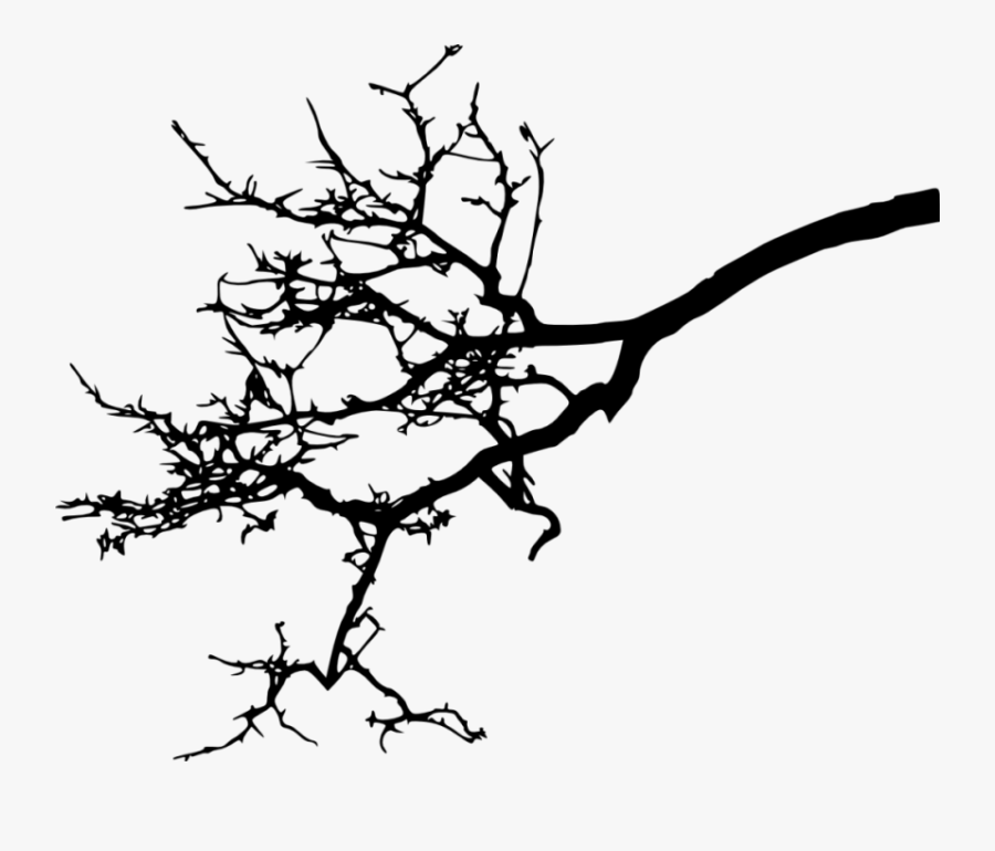 Twig Branch Clip Art - Branches Silhouette Tree Free, Transparent Clipart