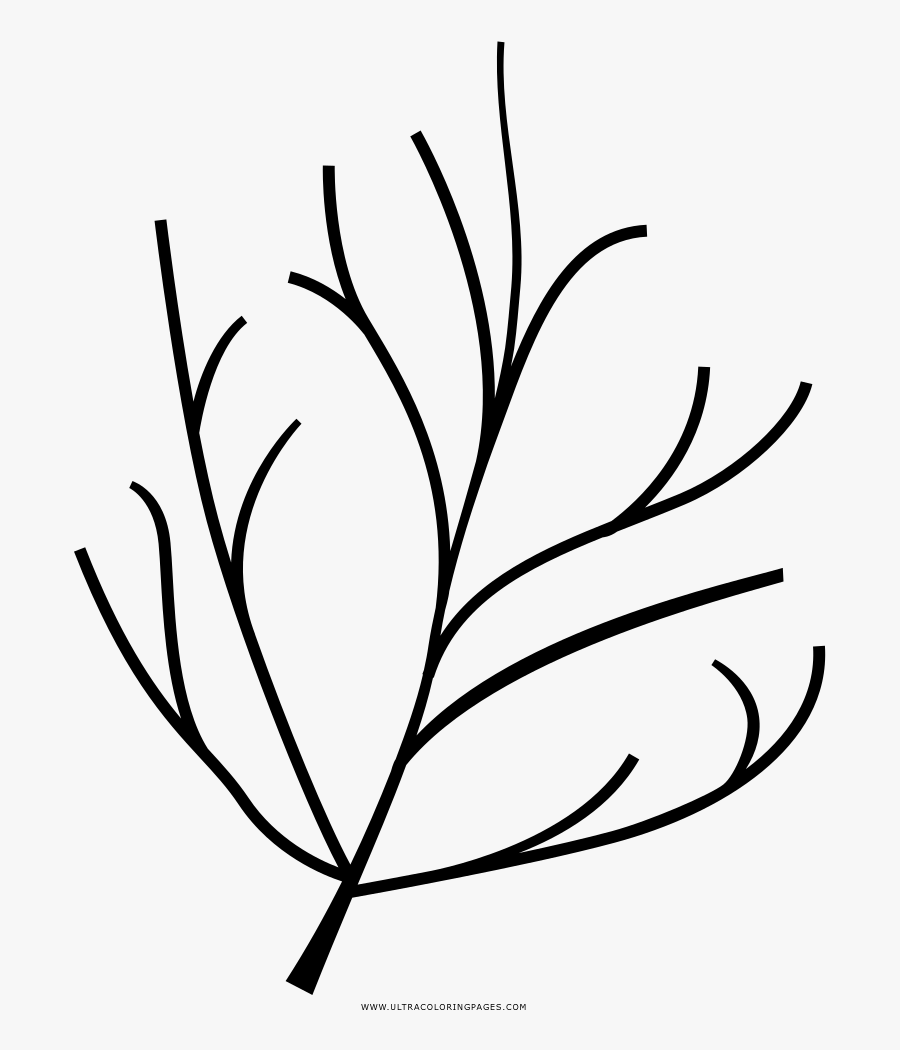 Twig Coloring Page - Twigs Icon , Free Transparent Clipart - ClipartKey