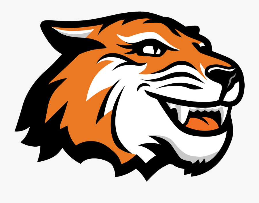 Camp Tiger - Rochester Institute Of Technology Mascot, Transparent Clipart