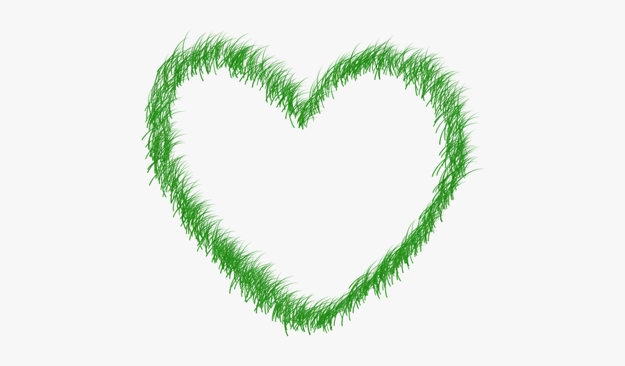 Echo, Ecology, Green, Grass, Prato, Nature, Saving - Ecology, Transparent Clipart