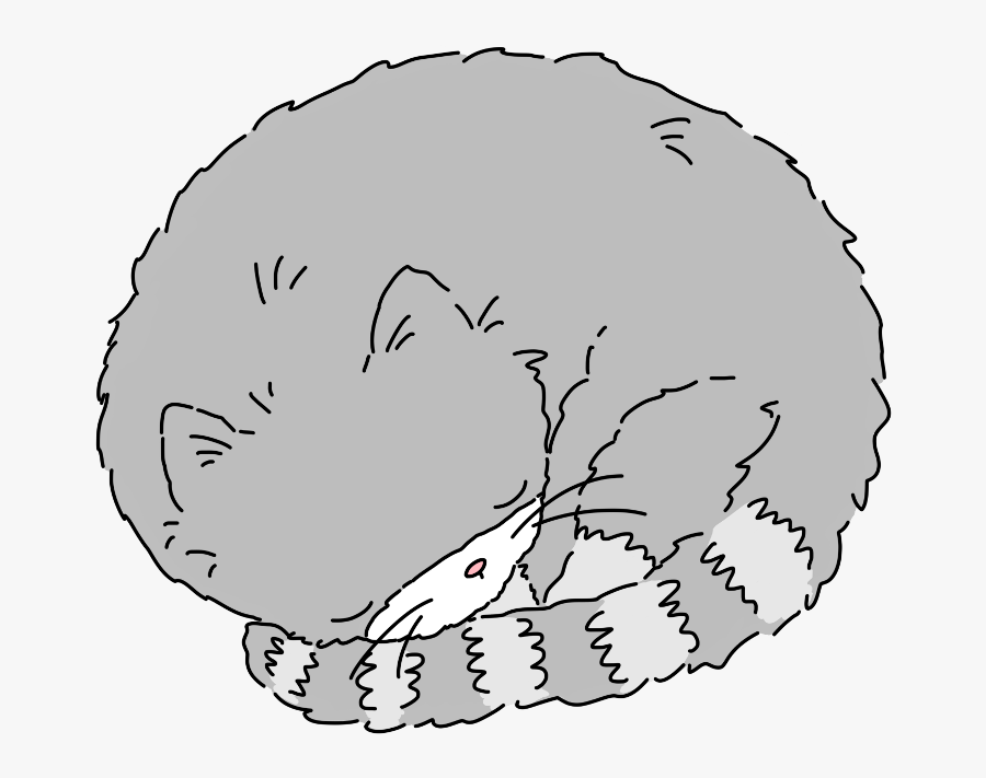 #cat #animal #pet #sleeping #tired #ftesticker #freetoedit - Sketch, Transparent Clipart