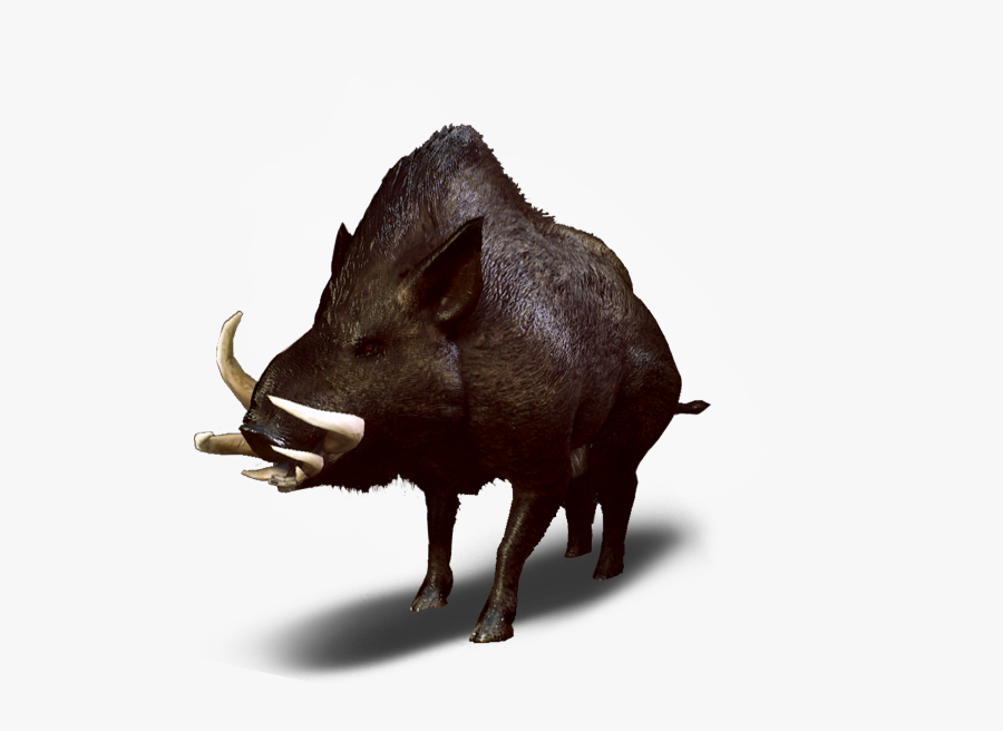 Dzik Wiedźmin - Witcher 3 Wild Boar, Transparent Clipart