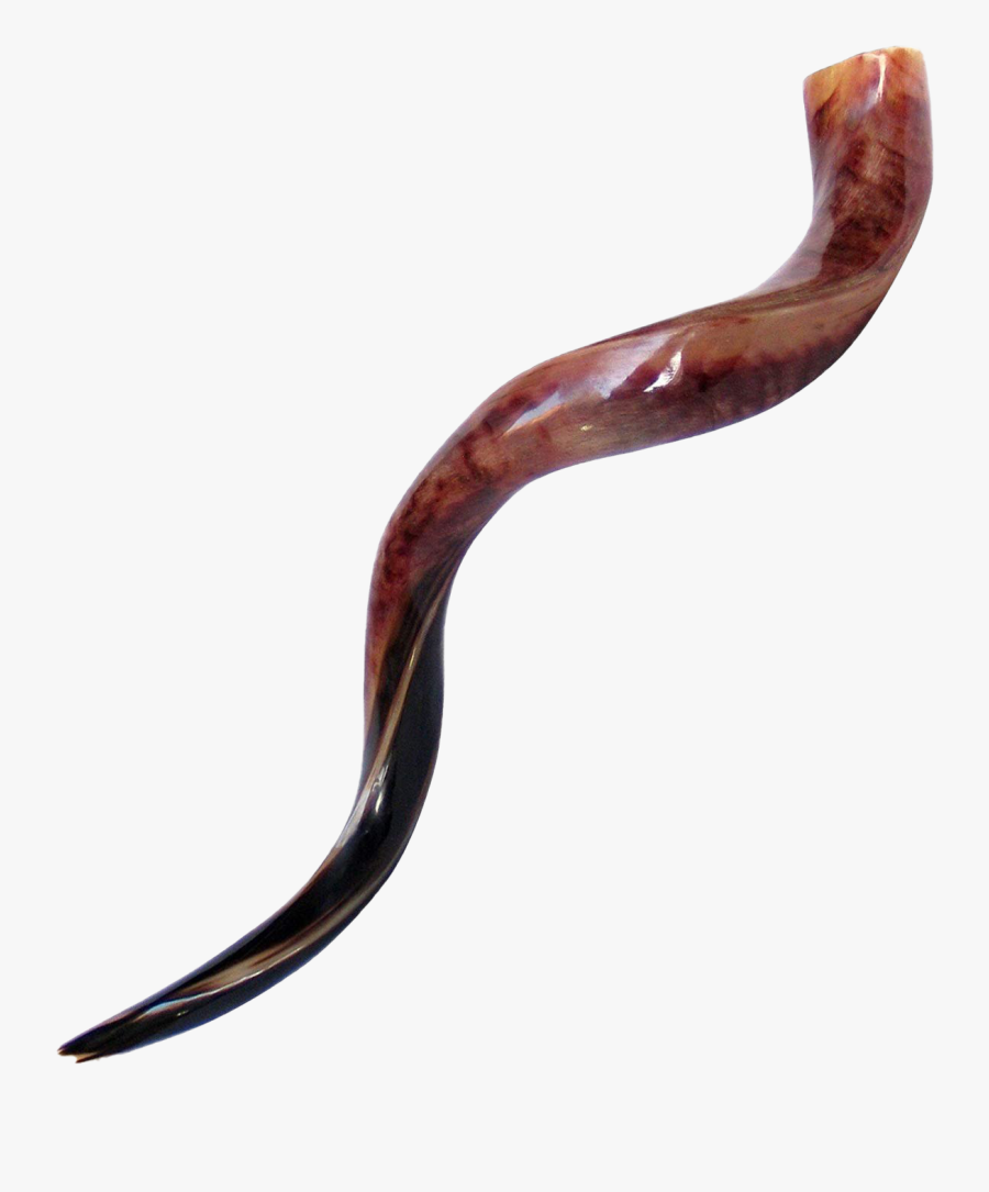 Shofar Horn Png Clipart - Imagenes De Un Shofar, Transparent Clipart