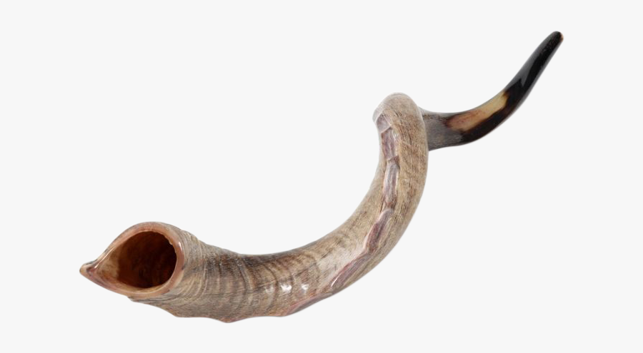 Shofar Small Png Transparent, Transparent Clipart