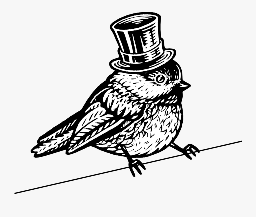 Bloomfield Public House Chickadee Only - Perching Bird, Transparent Clipart