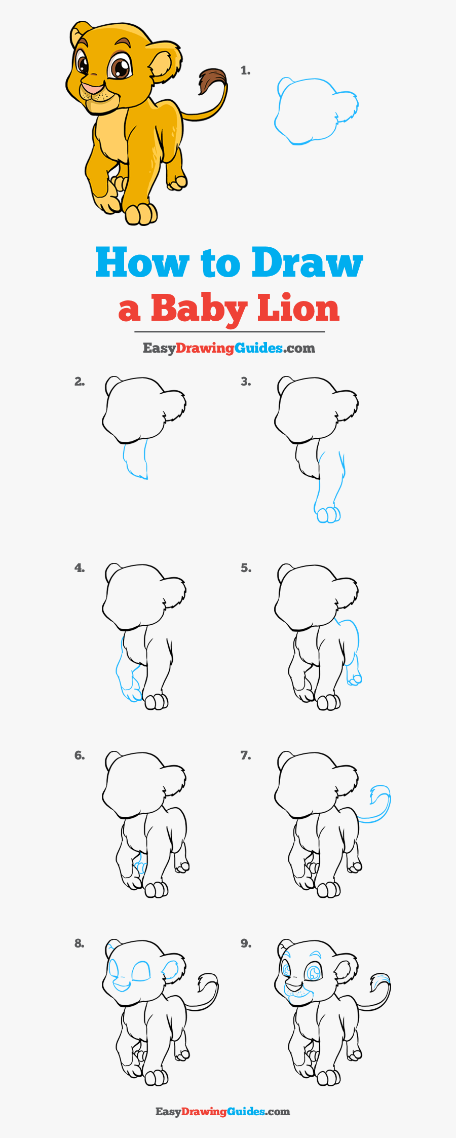 How To Draw Baby Lion - Draw A Baby Lion Step, Transparent Clipart