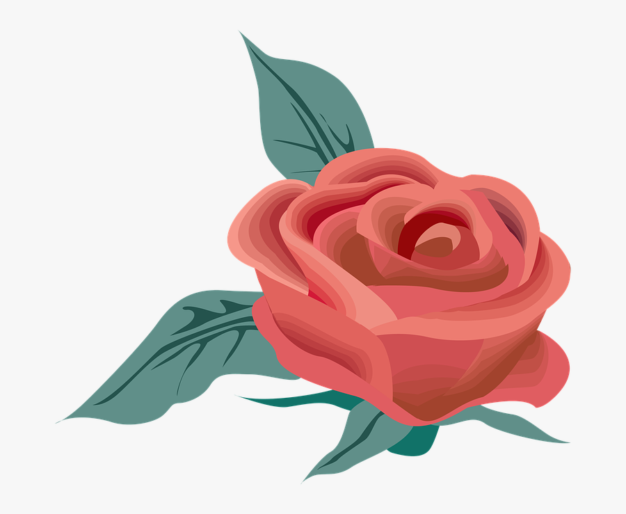 Garden Tea Rose,plant,botany,rose Order,flowering Plant,rosa - Circulo De Flores Png, Transparent Clipart