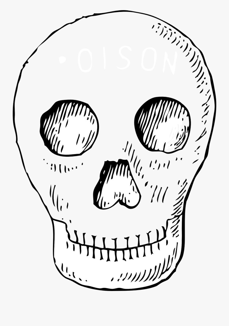 Poison Skull, Transparent Clipart